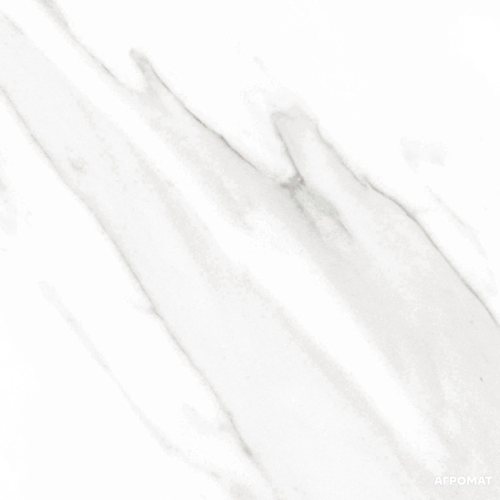 GEOTILES STATUARY BLANCO POL RECT (FAM 004)