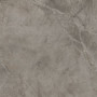 ABK Atlantis Taupe Ret 60х120 (PF60005864)