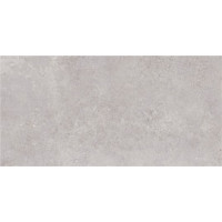 CRISTACER AVENUE GREY 60x120