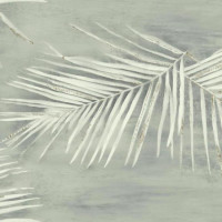 York Aviva Stanoff Signature Collection VA1269