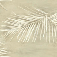 York Aviva Stanoff Signature Collection VA1267