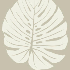 York Aviva Stanoff Signature Collection VA1234