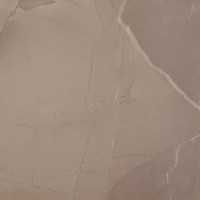 AZTECA PASSION LUX 60 TAUPE 60x60 (плитка для підлоги і стін) B37