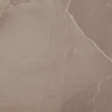 AZTECA PASSION LUX 60 TAUPE 60x60 (плитка для підлоги і стін) B37