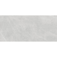 AZULEJOS BENADRESA TESSINO SMOKE PULIDO 120x260 (плитка настінна)