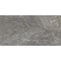 Azuvi Fior Di Bosco Polished 60*120