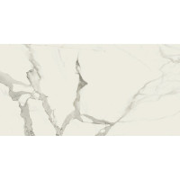 BALDOCER STATUARIO NATURAL RECT. 60X120
