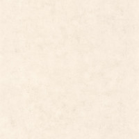 Caselio Beton BET101481258