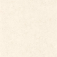 Caselio Beton BET101480010