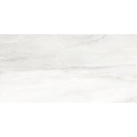 Azulev BIANCO DELICATTO POLISHED 60x120
