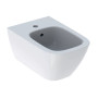 Біде GEBERIT SMYLE 500.209.01.1