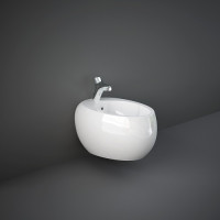 RAK Ceramics Sanitaryware CLOBD2101AWHA