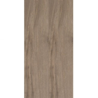 Fiandre BoisUrbainTerre90x22.5 semilucidato 11мм(AS223X1122R9)