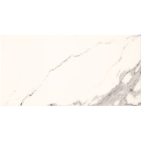 Domino Bonella white 30,8x60,8 Gat.1