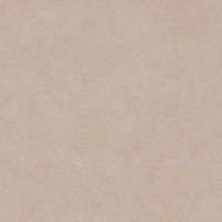 Atlas Concorde Boost Natural Ash 120x120 Matt 9мм (A6WT)