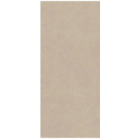 Atlas Concorde Boost Natural Ash 120x278 Matt 6мм (A67C)
