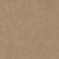 Atlas Concorde Boost Natural Coral 120x120 Matt 9мм (A65R)