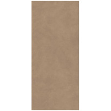 Atlas Concorde Boost Natural Coral 120x278 Matt 6мм (A67H)