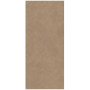 Atlas Concorde Boost Natural Coral 120x278 Matt 6мм (A67H)