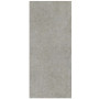 Atlas Concorde Boost Stone Grey 120x278 Matt 6mm (A6SC)