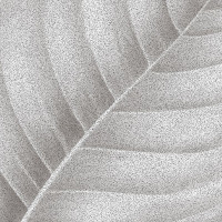 Ornamenta Botanica Lymph Calce 30x30 (BO3030LC)