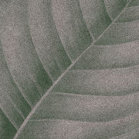 Ornamenta Botanica Lymph Cemento 30x30 (BO3030LCE)