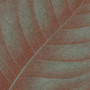Ornamenta Botanica Lymph Erbolario 30x30 (BO3030LE)