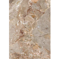 LA FABBRICA 163011 BRECCIA ARGENTUM LAPP RET