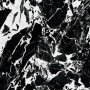 Floor Gres B&W_Marble Fragment 60х120 (766398)