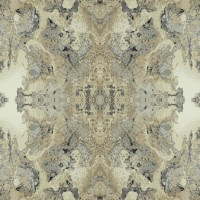 York Candice Olson Botanical Dreams DN3717