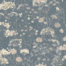 York Candice Olson Botanical Dreams NA0543