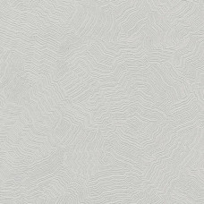York Candice Olson Terrain COD0519N
