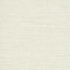 York Candice Olson Terrain COD0548N York Candice Olson Terrain COD0548N
