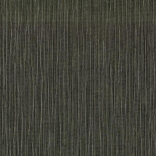 York Candice Olson Terrain COD0508N