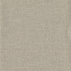 York Candice Olson Terrain COD0527N