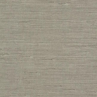 York Candice Olson Terrain COD0553N