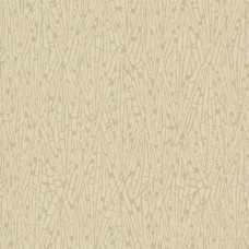 York Candice Olson Terrain COD0523N