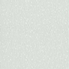 York Candice Olson Terrain COD0522N