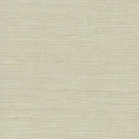 York Candice Olson Terrain COD0551N