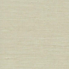 York Candice Olson Terrain COD0551N