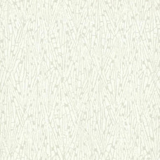 York Candice Olson Terrain COD0521N