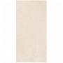 Marazzi Caracter Blanco Rett. 60x120 (M977)