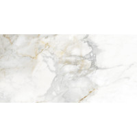 CERACASA VITA GLOSS 49.1х98.2 (плитка для підлоги і стін)