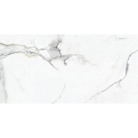 CERAMA MARKET STATUARIO VALCANO 60х120 (плитка для підлоги і стін)