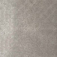 Cerdisa 0025166 REFLEX SILVER LAPPATO