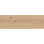 Cersanit SANDWOOD BEIGE 18,5х59,8