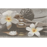 Cersanit OLIVIA GREY SPA 2 25х40