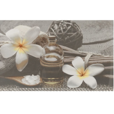 Cersanit OLIVIA GREY SPA 2 25х40