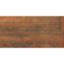 Cersanit GPT1019 RUST MATT RECT 59,8х119,8