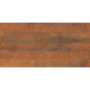 Cersanit GPT1019 RUST MATT RECT 59,8х119,8